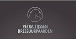 Petra Tijssen Dressuurpaarden